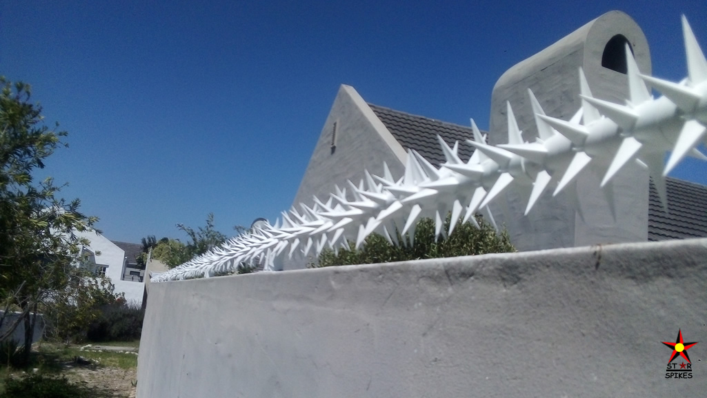 Security Wall Spikes Installed